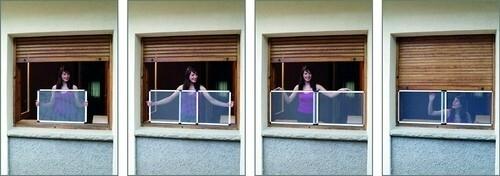 MOSQUITERA EXTENSIBLE