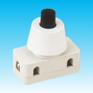 INTERRUPTOR 2A/250V 10 UNIDADES