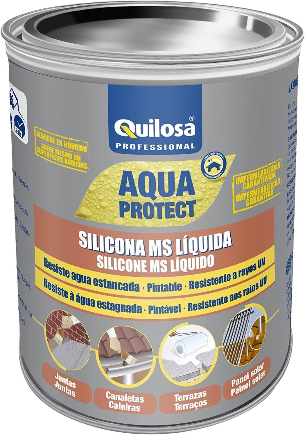 SILICONA MS LIQUIDA QUILOSA