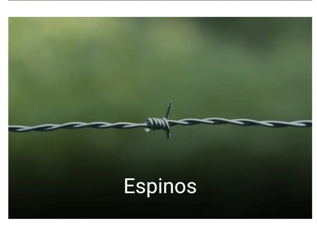 ESPINO