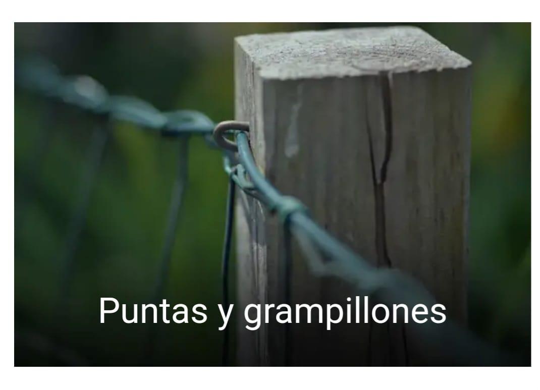 PUNTAS DE HIERRO Y GRAMPILLONES